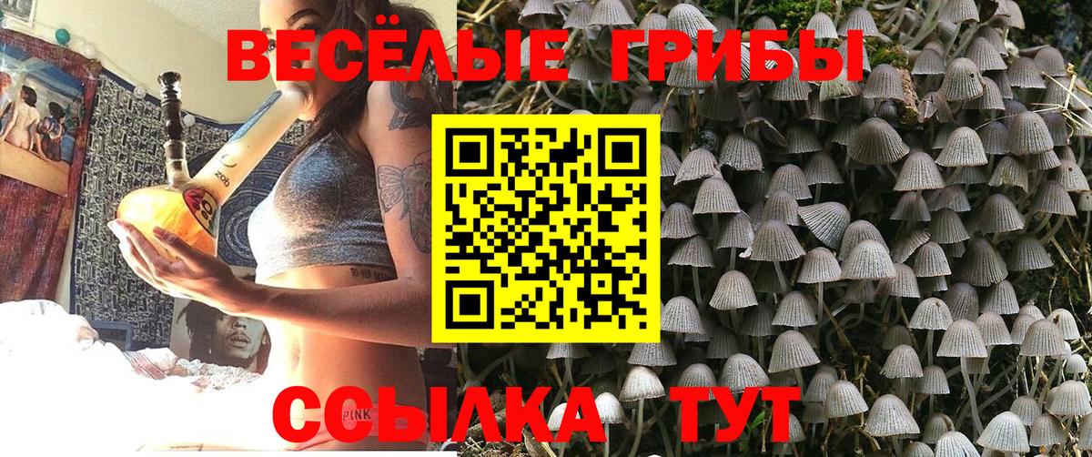 Феодосия  Псилоцибиновые грибы прущие грибы  где продают   Вход с VPN 